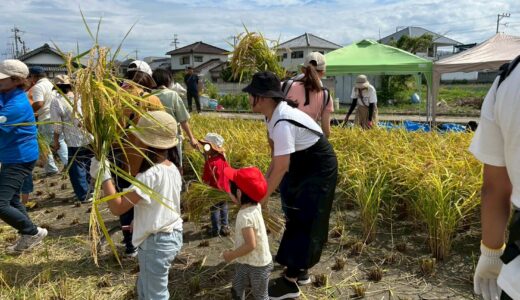 自然・体験活動