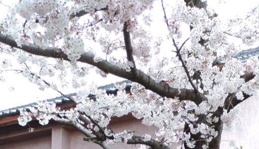 阪南市東鳥取公民館・西鳥取公民館の運営