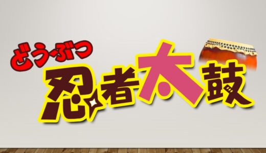 太鼓と芝居のたまっ子座『どうぶつ忍者太鼓』（音楽）　